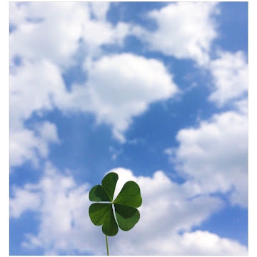 Profile photo of Not Chim