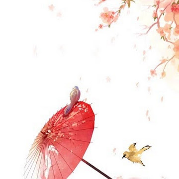 Profile photo of Anm Wilson